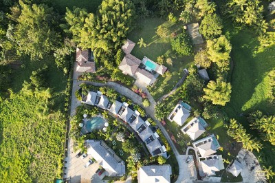Allée bordée de haies fleuries et de palmiers, menant à une maison sous un ciel bleu.
