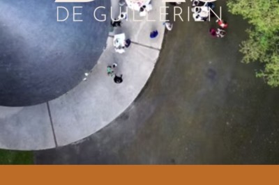 Chemin ombragé bordé de grands arbres et de buissons fleuris de fleurs violettes dans un parc verdoyant.