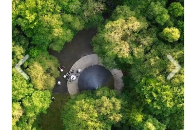 Chemin ombragé bordé de grands arbres et de buissons fleuris de fleurs violettes dans un parc verdoyant.