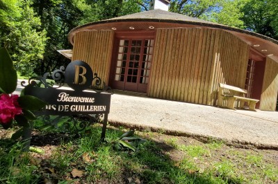 Chemin ombragé bordé de grands arbres et de buissons fleuris de fleurs violettes dans un parc verdoyant.