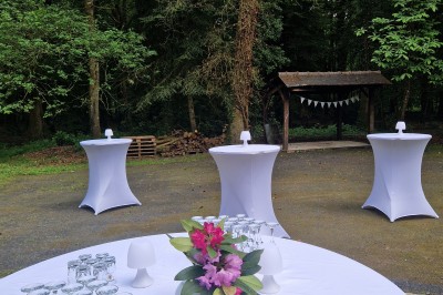 Chemin ombragé bordé de grands arbres et de buissons fleuris de fleurs violettes dans un parc verdoyant.