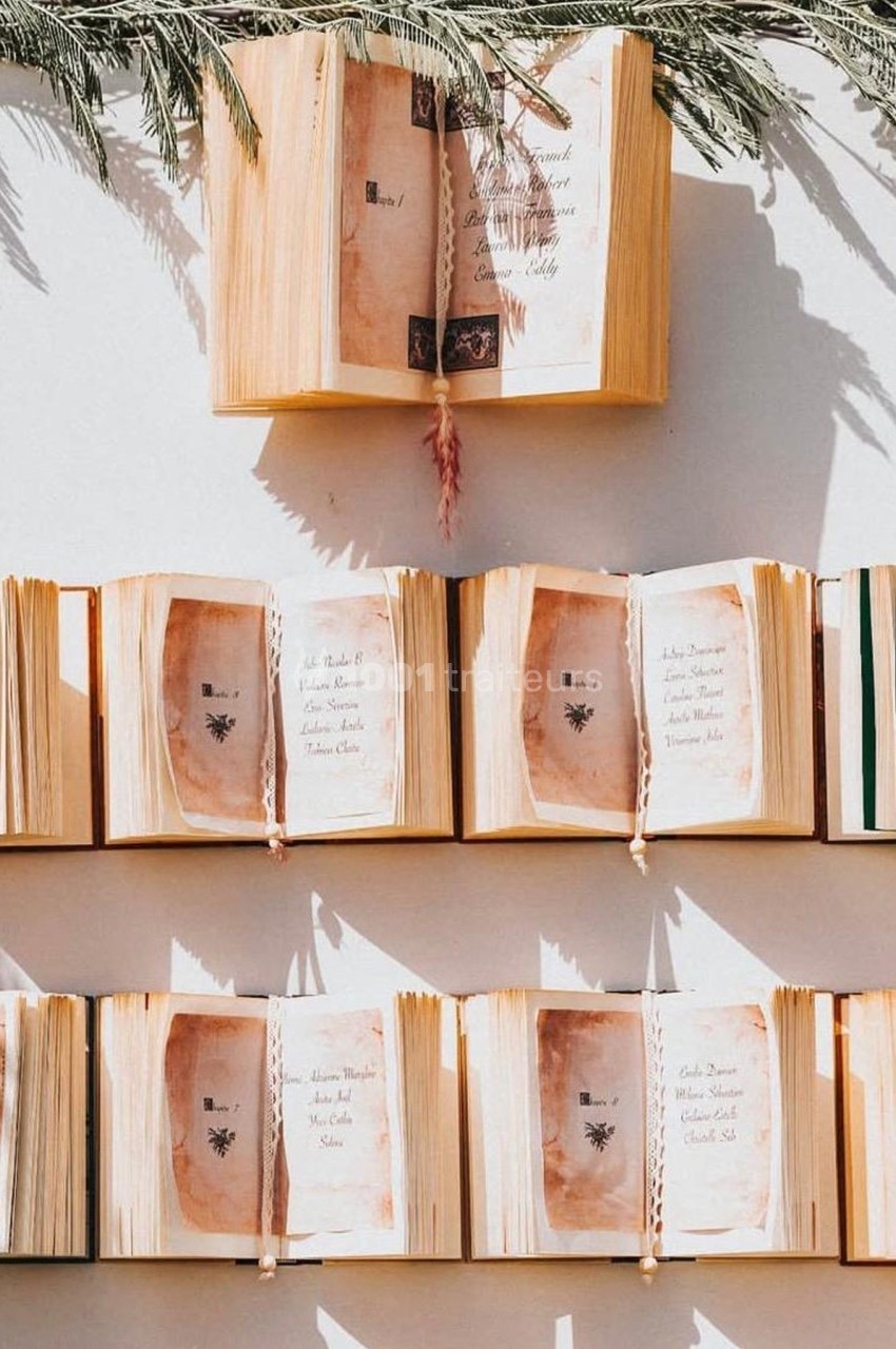 Livres ouverts alignés sur des étagères blanches, éclairés par la lumière naturelle avec des ombres de feuillage.