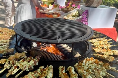 Illustration de deux oliviers entourant des tables et chaises disposées en extérieur, décorées de guirlandes lumineuses.