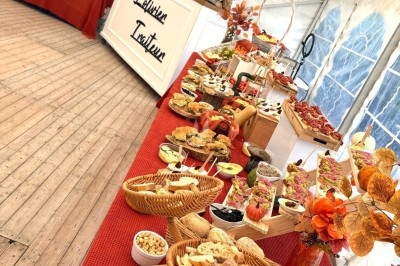 Illustration de deux oliviers entourant des tables et chaises disposées en extérieur, décorées de guirlandes lumineuses.
