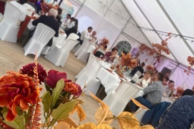 Illustration de deux oliviers entourant des tables et chaises disposées en extérieur, décorées de guirlandes lumineuses.