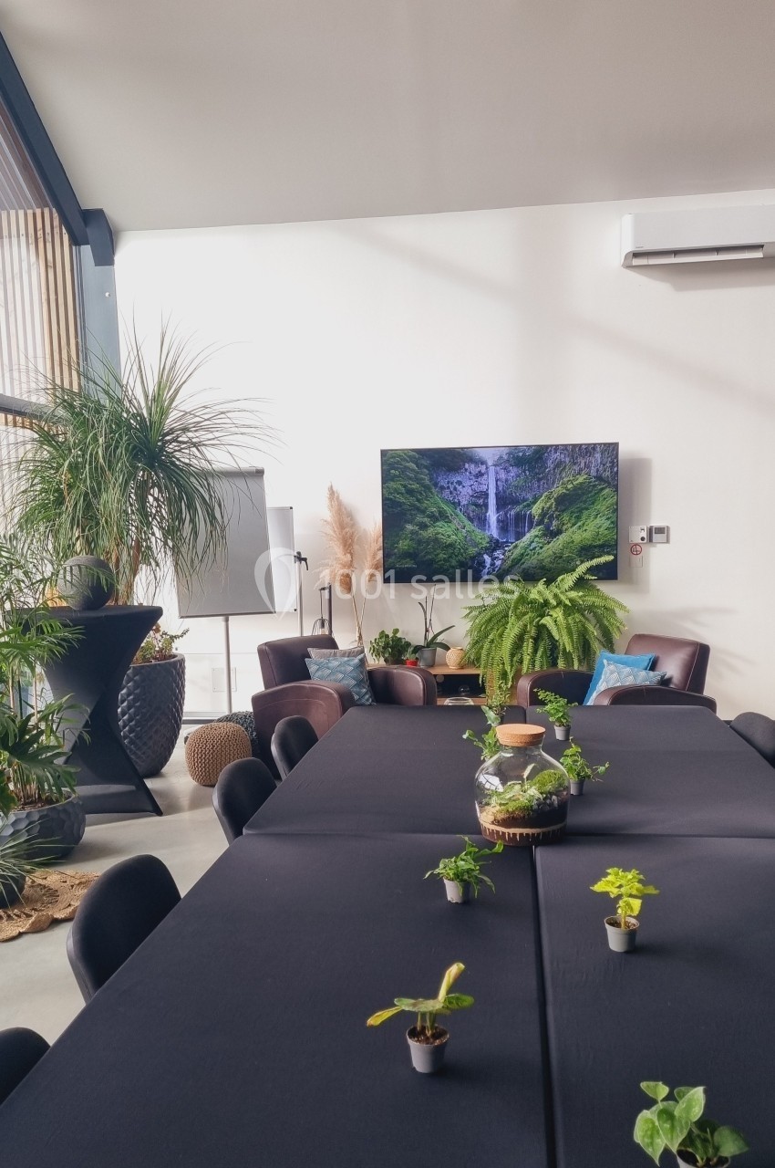 Salle lumineuse avec grande table noire, plantes décoratives, écran affichant une cascade et mobilier moderne.