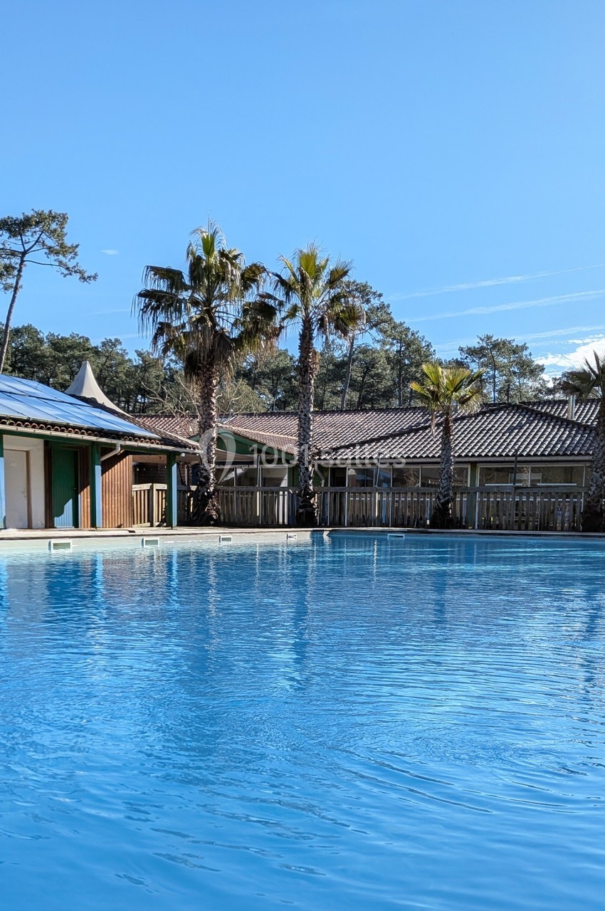 Piscine extérieure entourée de palmiers et de bâtiments en bois sous un ciel bleu dégagé.