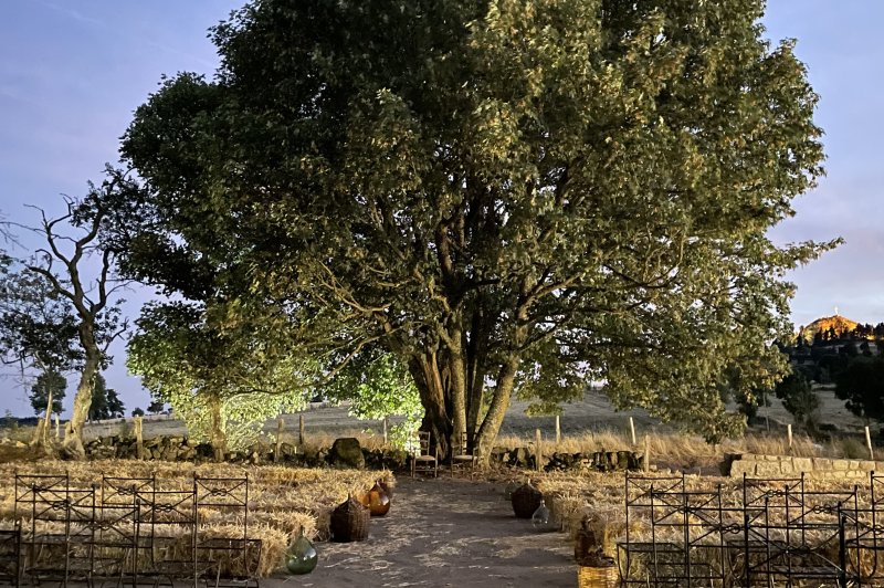 Domaine de l'Esclache - photo 4