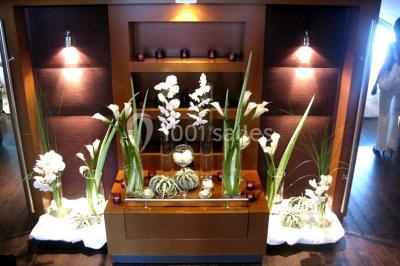 Terrasse d'un bateau avec des fauteuils, des plantes décoratives et une vue sur un pont et des arbres en arrière-plan.