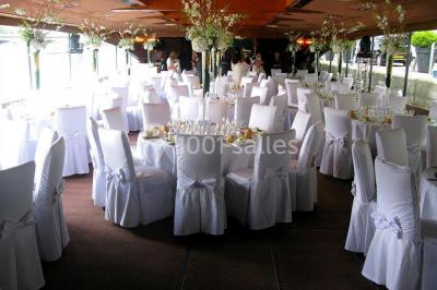 Terrasse d'un bateau avec des fauteuils, des plantes décoratives et une vue sur un pont et des arbres en arrière-plan.