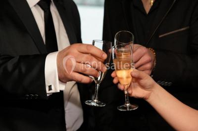 Terrasse d'un bateau avec des fauteuils, des plantes décoratives et une vue sur un pont et des arbres en arrière-plan.