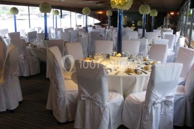Terrasse d'un bateau avec des fauteuils, des plantes décoratives et une vue sur un pont et des arbres en arrière-plan.