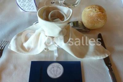 Terrasse d'un bateau avec des fauteuils, des plantes décoratives et une vue sur un pont et des arbres en arrière-plan.
