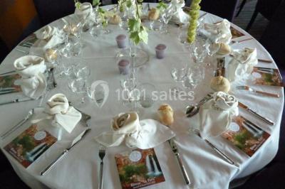 Terrasse d'un bateau avec des fauteuils, des plantes décoratives et une vue sur un pont et des arbres en arrière-plan.
