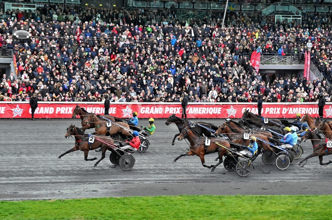 Course de trot attelé avec plusieurs chevaux et drivers sur une piste, devant une foule de spectateurs en tribunes.