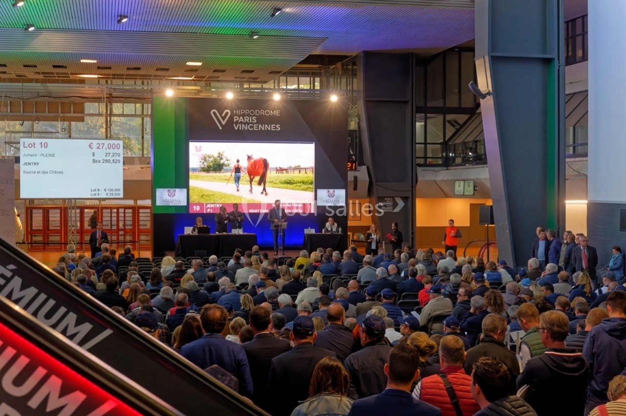 Salle comble lors d'une vente aux enchères de chevaux à l'Hippodrome de Paris-Vincennes, avec un cheval affiché à l'écran.