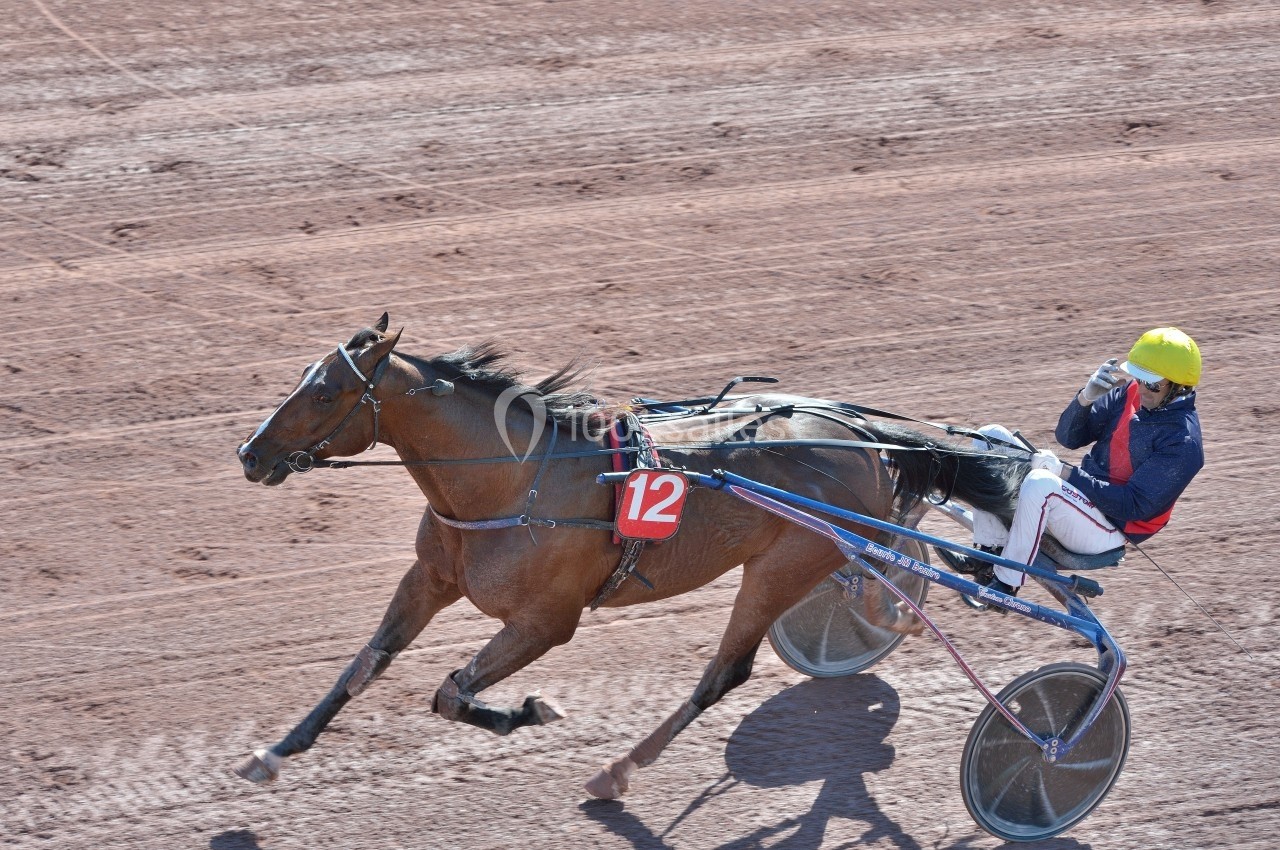 Location salle Soisy-sous-Montmorency (Val-d'Oise) - Hippodrome d’Enghien #2