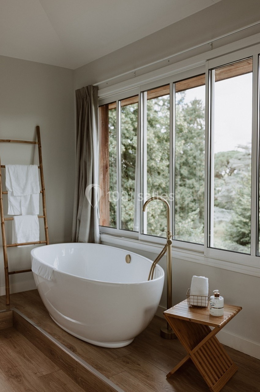 Salle de bain lumineuse avec baignoire blanche, robinet doré, serviettes sur une échelle en bois et vue sur un jardin.