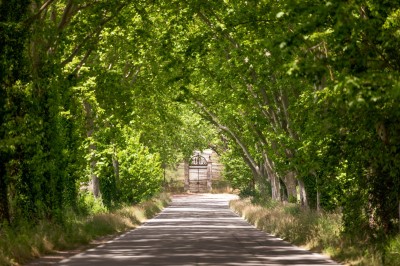 Location salle Vidauban (Var) - Château d'Astros #32