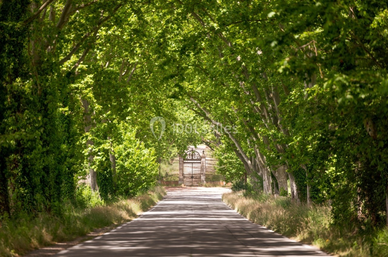 Location salle Vidauban (Var) - Château d'Astros #4