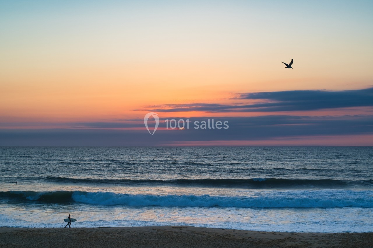 Surfeur marchant vers l'océan au coucher du soleil, avec un oiseau en vol et des vagues déferlant sur la plage.