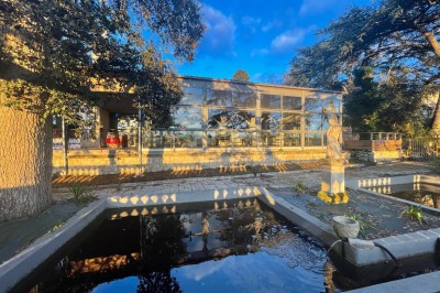Allée bordée de grands arbres et de feuilles tombées, longeant une balustrade en pierre au coucher du soleil.