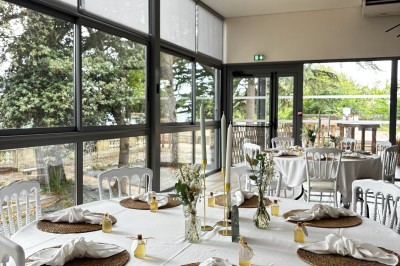 Allée bordée de grands arbres et de feuilles tombées, longeant une balustrade en pierre au coucher du soleil.