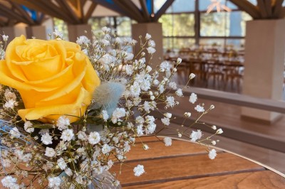 Allée bordée de grands arbres et de feuilles tombées, longeant une balustrade en pierre au coucher du soleil.