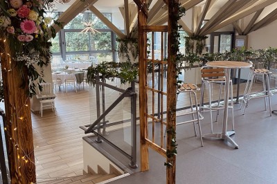 Allée bordée de grands arbres et de feuilles tombées, longeant une balustrade en pierre au coucher du soleil.