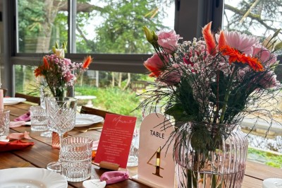 Allée bordée de grands arbres et de feuilles tombées, longeant une balustrade en pierre au coucher du soleil.