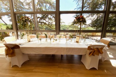 Allée bordée de grands arbres et de feuilles tombées, longeant une balustrade en pierre au coucher du soleil.