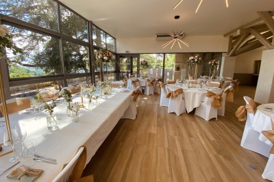 Allée bordée de grands arbres et de feuilles tombées, longeant une balustrade en pierre au coucher du soleil.