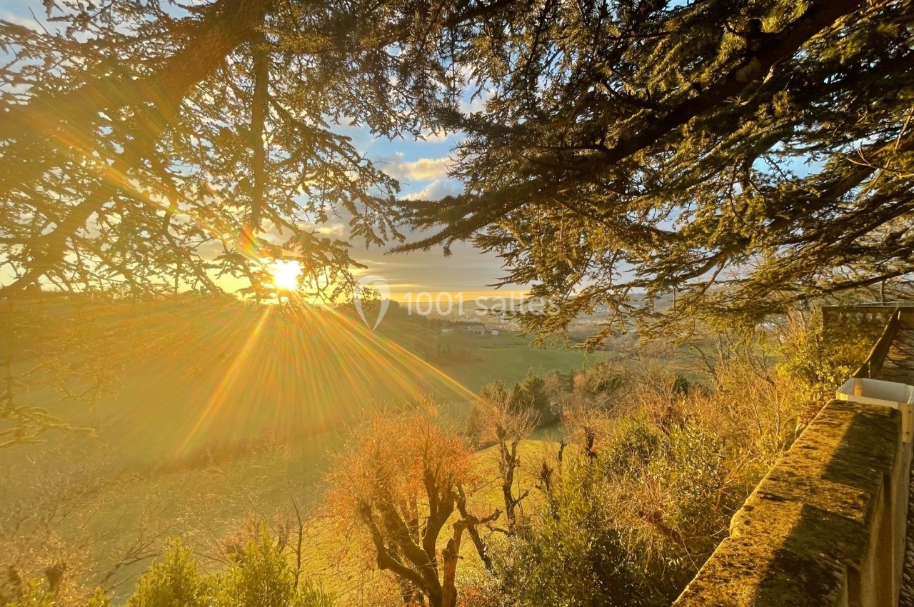 Paysage ensoleillé avec des arbres au premier plan, une vallée verdoyante et un horizon éclairé par le coucher du soleil.