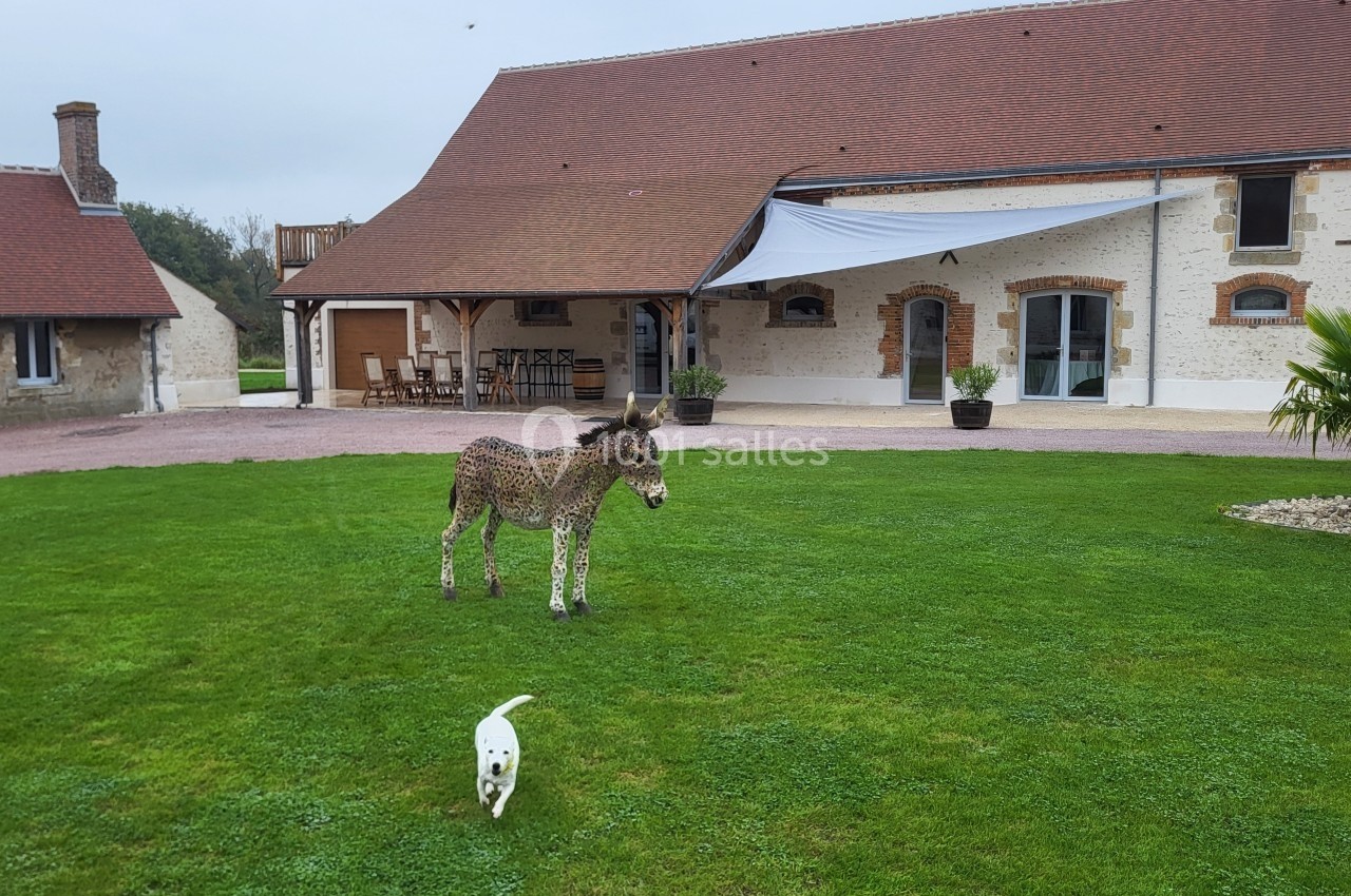 Un âne et un petit chien jouent sur une pelouse devant une maison en pierre avec un toit en tuiles rouges.