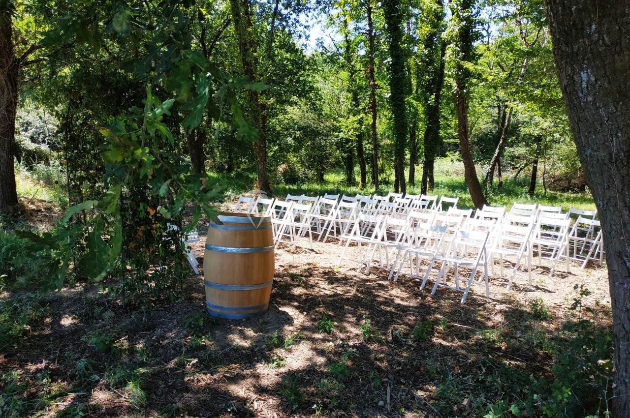 Chaises blanches disposées en rangées dans une clairière ombragée, avec un tonneau en bois au premier plan.