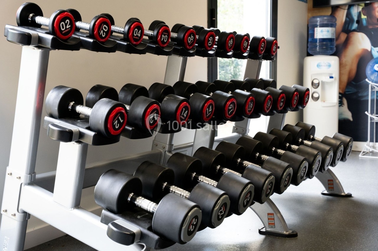 Haltères de différentes tailles rangés sur un support métallique dans une salle de sport lumineuse.