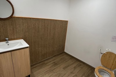 Salle lumineuse avec parquet en bois, mur végétal, chaises empilées et suspensions décoratives au plafond.