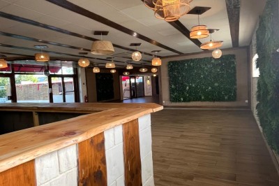 Salle lumineuse avec parquet en bois, mur végétal, chaises empilées et suspensions décoratives au plafond.