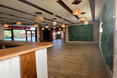 Salle lumineuse avec parquet en bois, mur végétal, chaises empilées et suspensions décoratives au plafond.