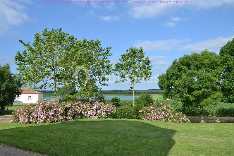 Paysage avec pelouse, arbres, buissons fleuris roses et vue sur un plan d'eau sous un ciel bleu.