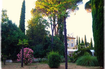 Miniature Location salle La Cadière-d'Azur (Var) - Château de Rochebelle - Var #5 Jardin verdoyant avec des pots en terre cuite et une tente blanche entourée d'arbres et de végétation.