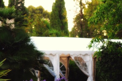 Miniature Location salle La Cadière-d'Azur (Var) - Château de Rochebelle - Var #10 Jardin verdoyant avec des pots en terre cuite et une tente blanche entourée d'arbres et de végétation.