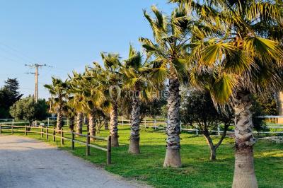Table en bois garnie de divers plats, pains, charcuteries et amuse-bouches, présentés pour un buffet en extérieur.