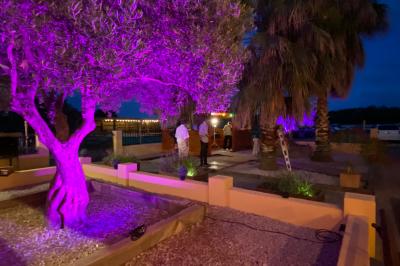 Table en bois garnie de divers plats, pains, charcuteries et amuse-bouches, présentés pour un buffet en extérieur.