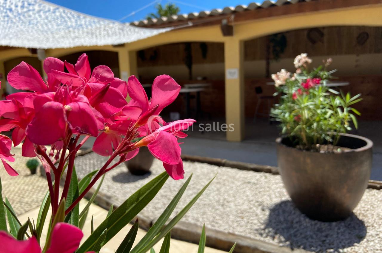 Fleurs roses en gros plan devant une terrasse ombragée avec des pots de plantes et un sol en gravier.