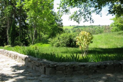 Miniature Location salle Chaptuzat (Puy-de-Dôme) - Château des Bérangers #11 Allée bordée de jeunes arbustes menant à une porte en fer, entourée d'arbres et d'un espace herbeux.