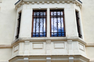 Miniature Location salle Chaptuzat (Puy-de-Dôme) - Château des Bérangers #12 Allée bordée de jeunes arbustes menant à une porte en fer, entourée d'arbres et d'un espace herbeux.