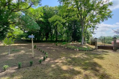 Miniature Location salle Chaptuzat (Puy-de-Dôme) - Château des Bérangers #29 Allée bordée de jeunes arbustes menant à une porte en fer, entourée d'arbres et d'un espace herbeux.