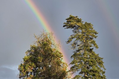 Salon lumineux avec murs en pierre, cheminée, canapé, table ronde avec chaises jaunes et vue sur une cuisine ouverte.