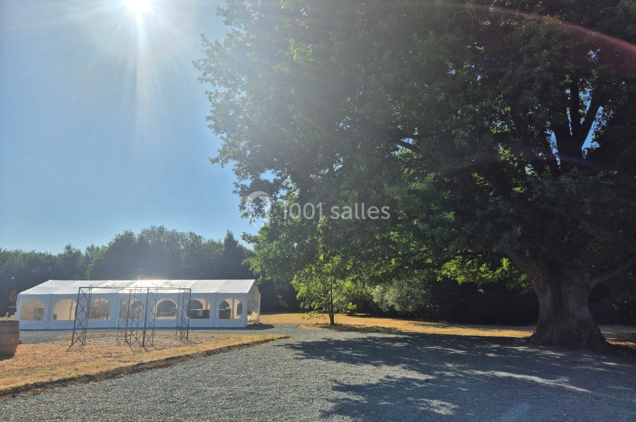 Grande tente blanche installée sur une pelouse ensoleillée près d'un grand arbre, sous un ciel dégagé.
